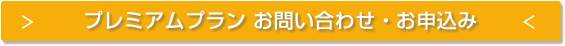 �v���~�A���v�����\����