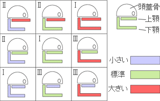 前後の顎の発達による3つの分類