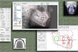 ʣζŤ鴵ͤ˹碌бǽ