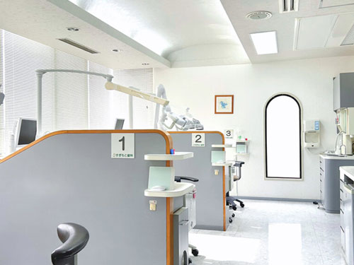 ������Ȼ���