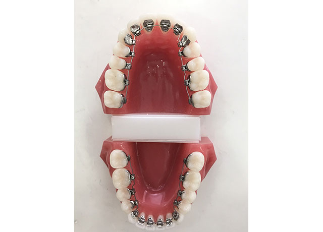 3Dデジタル