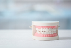 �������Ť��¹Ԥ��ƹԤ����жڵ�ǽ��ˡ