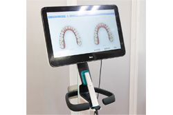 ��ȴ���Ǥζ�������