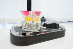 ���Ͷ����Ȥ�