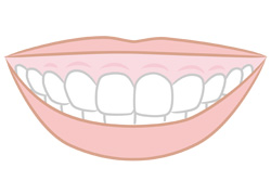 ���ߡ����ޥ���μ���