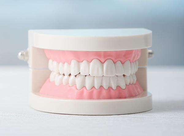 審美的な歯並びだけではなく、噛み合わせや骨格を整える治療