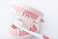 �������֤����塦���ų���