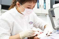 定期的な通院・調整