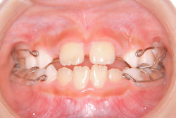 ��곰����������������