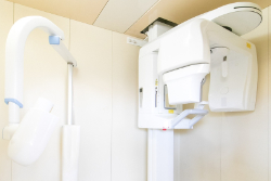 ��̩����