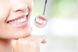 ��ʬ����