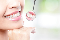 ��ʬ����