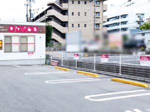ʥ޻