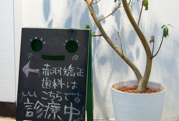 今までの歩み