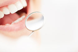 ��̩����