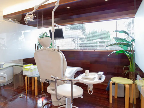 �����󥰷��춺�����ʥ���˥å�