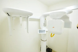 ��̩����