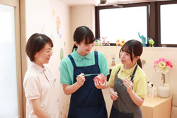 ͽ�ɻ��ʼ��Ť�Ű��