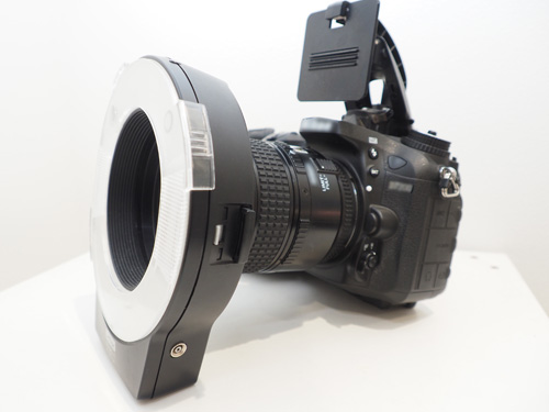 Refino Dental Clinic