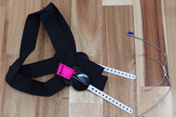 ¥Ø¥Ã¥É¥®¥¢